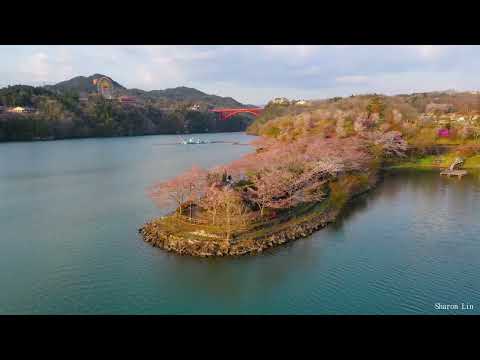 2023Apr-日本櫻花之旅 (Drone 4K)