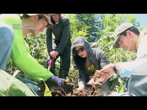 ILTER Nitrogen Initiative Training Course 2016 in Japan (Director's cut Long version 11 minutes)