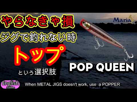 TOP WATER MARIA POP QUEEN   when Metal jigs no work, try POPPER