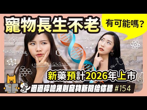 EP. 154寵物長生不老有可能嗎？新藥預計2026年上市｜毛爸媽碎碎唸