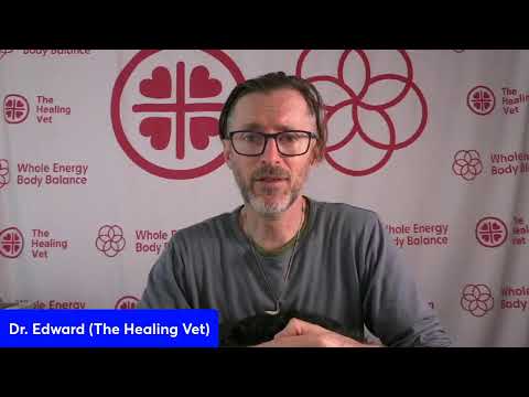 How Animal Communication and Energy Healing Help Heal Your Pets