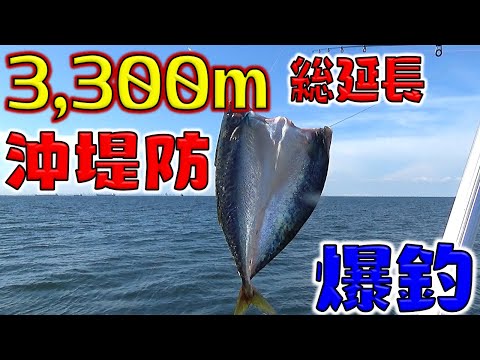 長～い堤防行ったら大衆魚のサバとアジが釣れた！