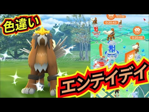 【Pokemon GO】エンテイデイ！！色違いのエンテイを捕まえろ！！【ポケモンGO】