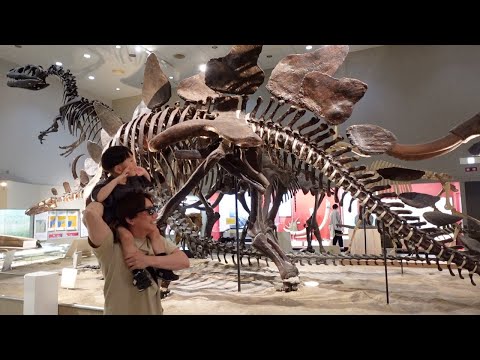 【2歳とおでかけ】恐竜を見に大阪市自然史博物館へ🦖