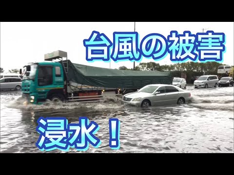 大黒埠頭の被害！【台風15号】2019.9