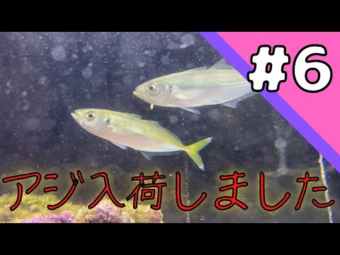 新しい仲間を紹介するぜ！＃６