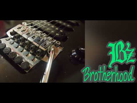 (cover)B'z/Brotherhoodギターソロ