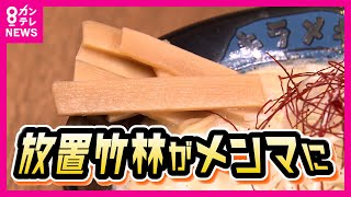 【自家製メンマ】放置された竹林をメンマに　食べて放置竹林を解決　人気ラーメン店が「京たけのこ」でイチから作る　みんながおいしい仕組みを〈カンテレNEWS〉