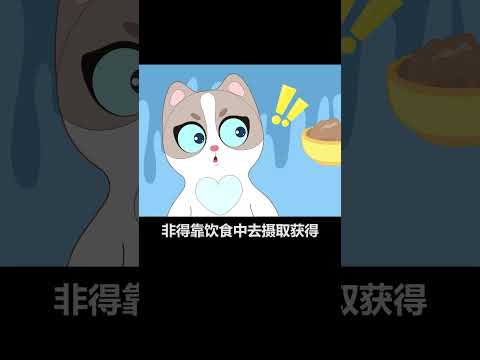 【宠物科普】你知道猫咪能不能吃狗粮吗？