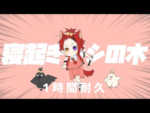 【1時間耐久】寝起きヤシの木／莉犬