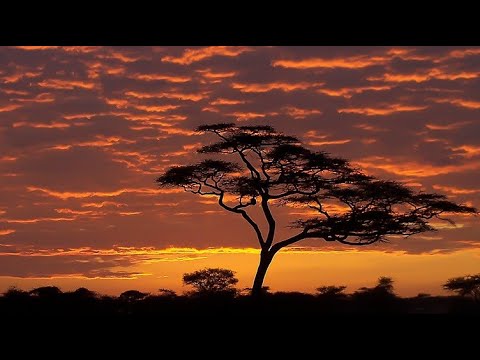 John Barry - Memorias de África