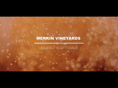 Merkin Vineyards | Uniquely Scottsdale