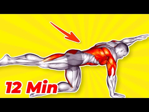 ➜ 12-MIN Evening Workout for Men - Burn Fat Before Bed