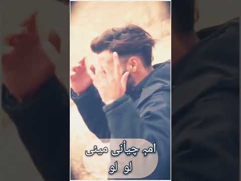 MAHI AMIR آب دادریہ لو لو || KASHMIRI LYRICS STATUS || by KASHMIR LOVERS 🥀🥀||