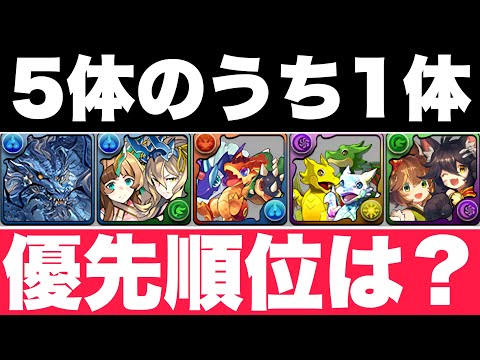 【全キャラ性能解説】5体のうち選ぶべきフェス限はどれ？トイズ/リューネシルヴィ/ガチャドラ/グランエルヴ/カノクロネ【パズドラ】