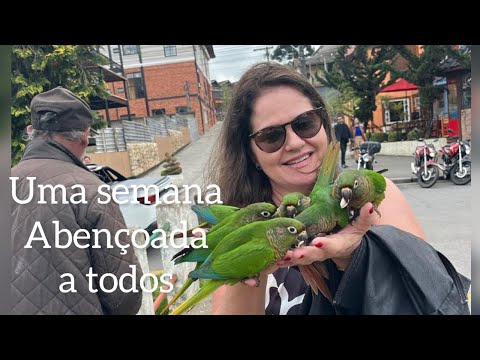 Sonia - Multicanal  está ao vivo!