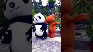 Cute funny panda 🐼 #shorts #viral #ytshorts