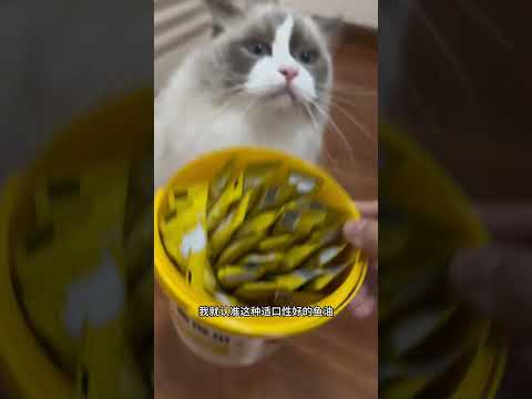 有多少人是因为猫毛送走猫咪的，大可不必… #猫和孩子