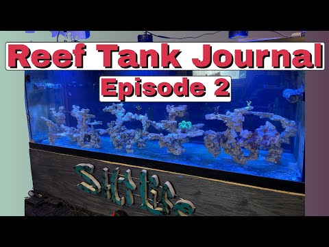 Reef Tank Journal (Episode 2) 12/15/21 Two part dosing pump - Answering a viewers question.