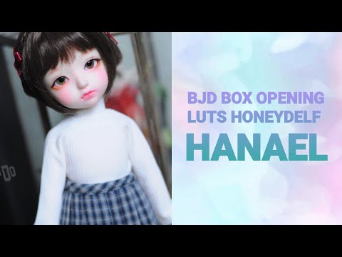 BJD Box Opening: Luts Honey Delf HANAEL (Basic)