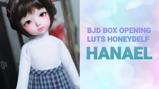 BJD Box Opening: Luts Honey Delf HANAEL (Basic)