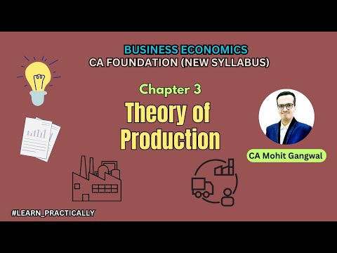 Theory of Production | CA Foundation Business Economics : Chp 3 Theory of Production & Cost  🤑🤑