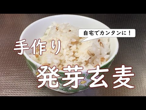 【サプリより安くてカンタン】発芽玄麦を作る方法