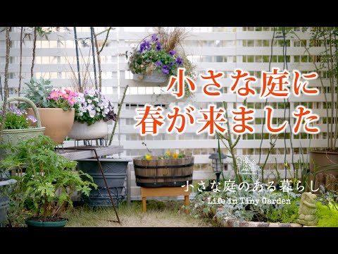 ガーデニング Vlog｜小さな庭に春がきました｜ハーブのお手入れ｜植え替え名人 〜小さな庭のある暮らし 112〜Gardening ｜ Life in a tiny garden