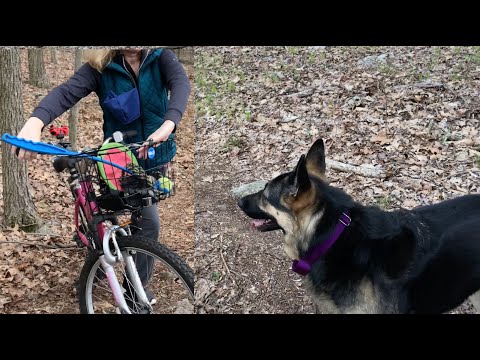 Importance of Leash Command! We use it when we encounter other hikers! German Shepherd Hiking Video