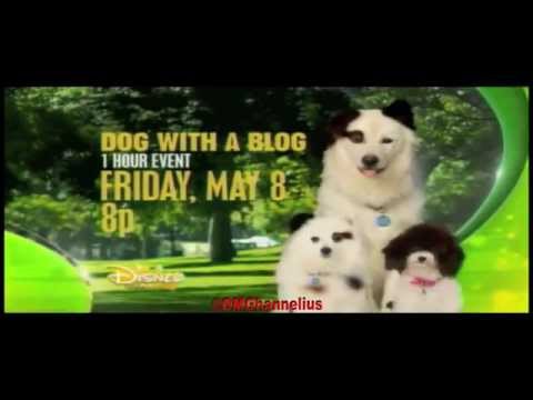 Stan Has Puppies - Dog With A Blog - Season 3 Episode 15 promo - G Hannelius