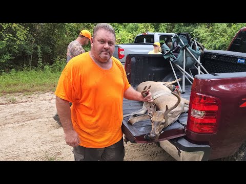 SC Deer Dog Drives 8/20/2022: Several Deer Seen and 2 Bucks Taken