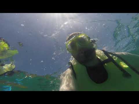 Seychelles Snorkel