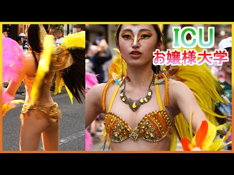 4K 最強メンバー 大学生 サンバ ICUラムズ 黄色い羽 ひまわり娘 三茶ラテンフェスティバル2023 Japanese Samba  street festival 三軒茶屋