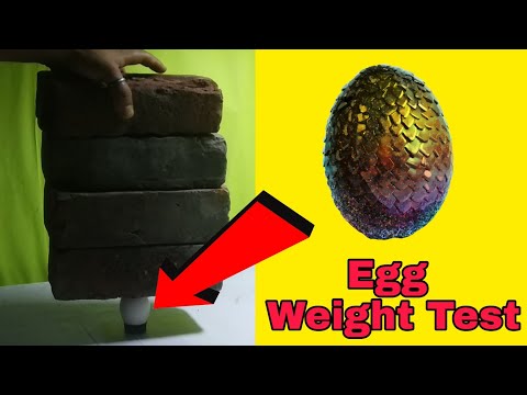 Easy Science Experiments to do at Home with Egg