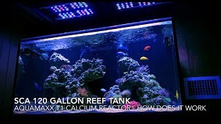 SCA 120 Gallon Reef | Ep.25 | Aquamaxx T1 Calcium Reactor - Apex - Dosing