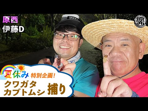 【夏休み特別企画】原西＆伊藤Dのクワガタ・カブトムシ捕り