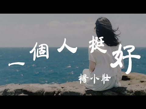 一個人挺好 -楊小壯 - 『超高无损音質』【動態歌詞Lyrics】