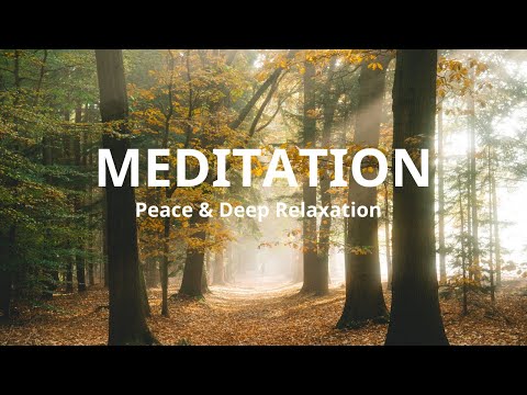 Flutes & Birds | Calming Nature Meditation for Peace & Deep Relaxation