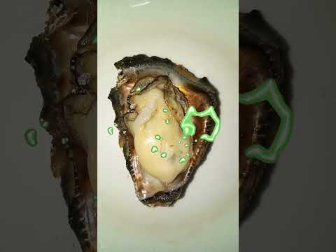 Talaba | Oysters #food #filipinofood #youtubeshorts #shorts