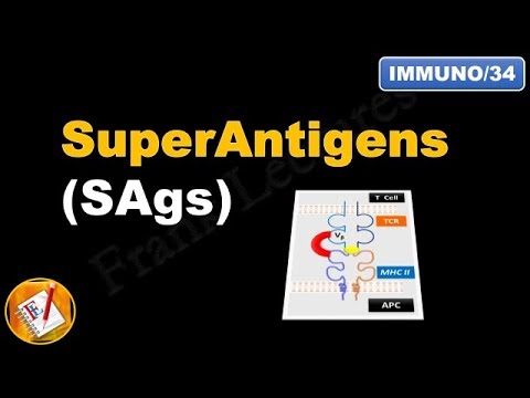 Superantigens (SAgs) (FL-Immuno/34)