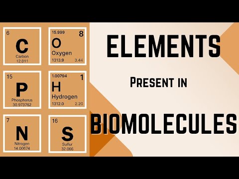 Elements present in Biomolecules | Animation