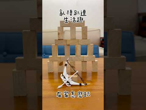 亂棲趴遭生活趣～在家怎麼玩 【親子遊戲】