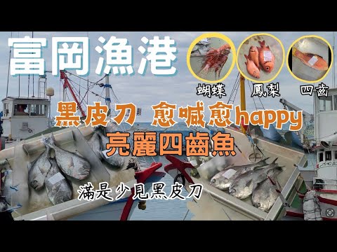 台東富岡漁港：超歡樂的漁獲拍賣場！黑皮刀就是Happy呀｜四齒魚，聽說少見｜紅喉，可惜沒買到｜鳳梨魚｜來漁港感受歡樂和刺激喊價