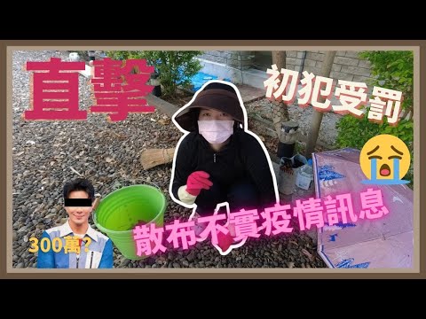 【直擊】郭彥均要罰300萬?散布不實疫情資訊，揭露初犯受罰內幕！feat.Momo、少澤