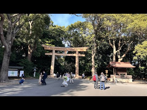 漫步在東京明治神宮附近/Strolling Around Meiji Jingu Shrine & Yoyogi Park Area, 11-2023