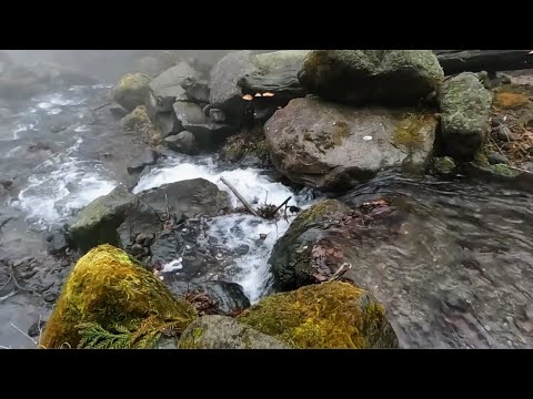 【12h】Relaxing River Sounds in Akagi Mountain, Japan | Peaceful Nature Ambience