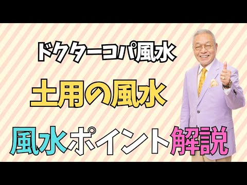 【土用の風水】さんかんと龍 楕円深皿でカレーを食べよう！