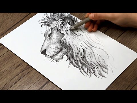 How to Draw a Lion Side View Step by Step | Lion Head Drawing