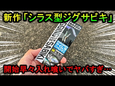 シラス激似と噂のジグサビキが…落ちる間もなく良型サイズ入れ喰いで楽しすぎる