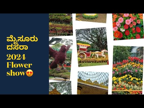 Mysuru ದಸರಾ 2024🐘Flower show🌺🥀🌹🌸Miss ಮಾಡಬೇಡಿ💐🪷Namma Mysuru namma hemme❤️😍